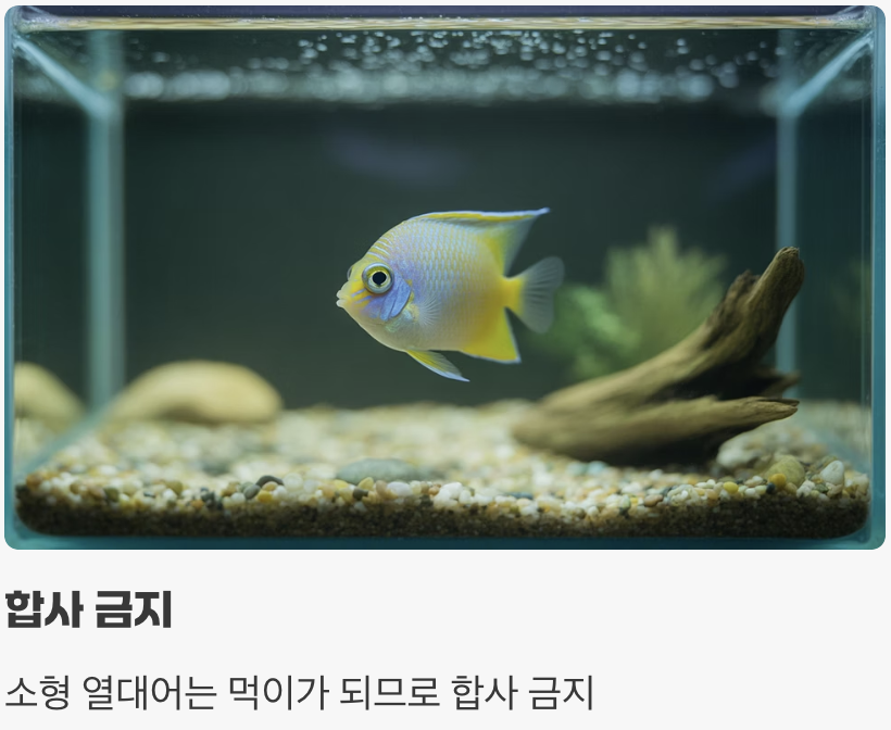 합사 - '입에 들어가는 모든 것'은 먹이