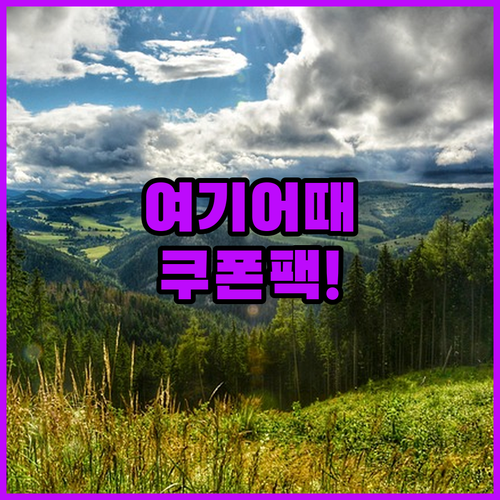 여기어때 앱 설치 방법과 신규 회원 ..