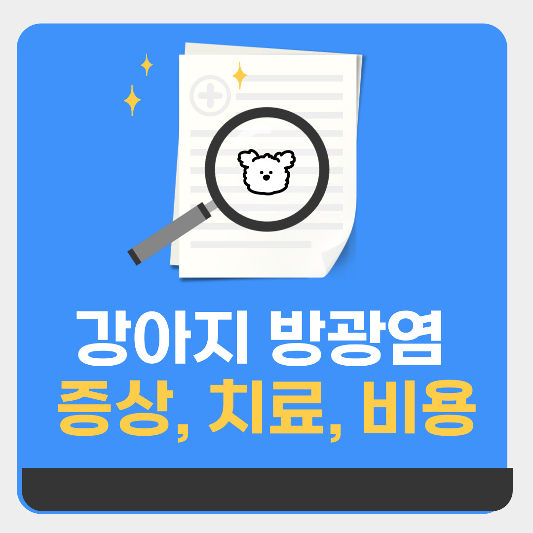 강아지-방광염-증상부터-치료-비용까지