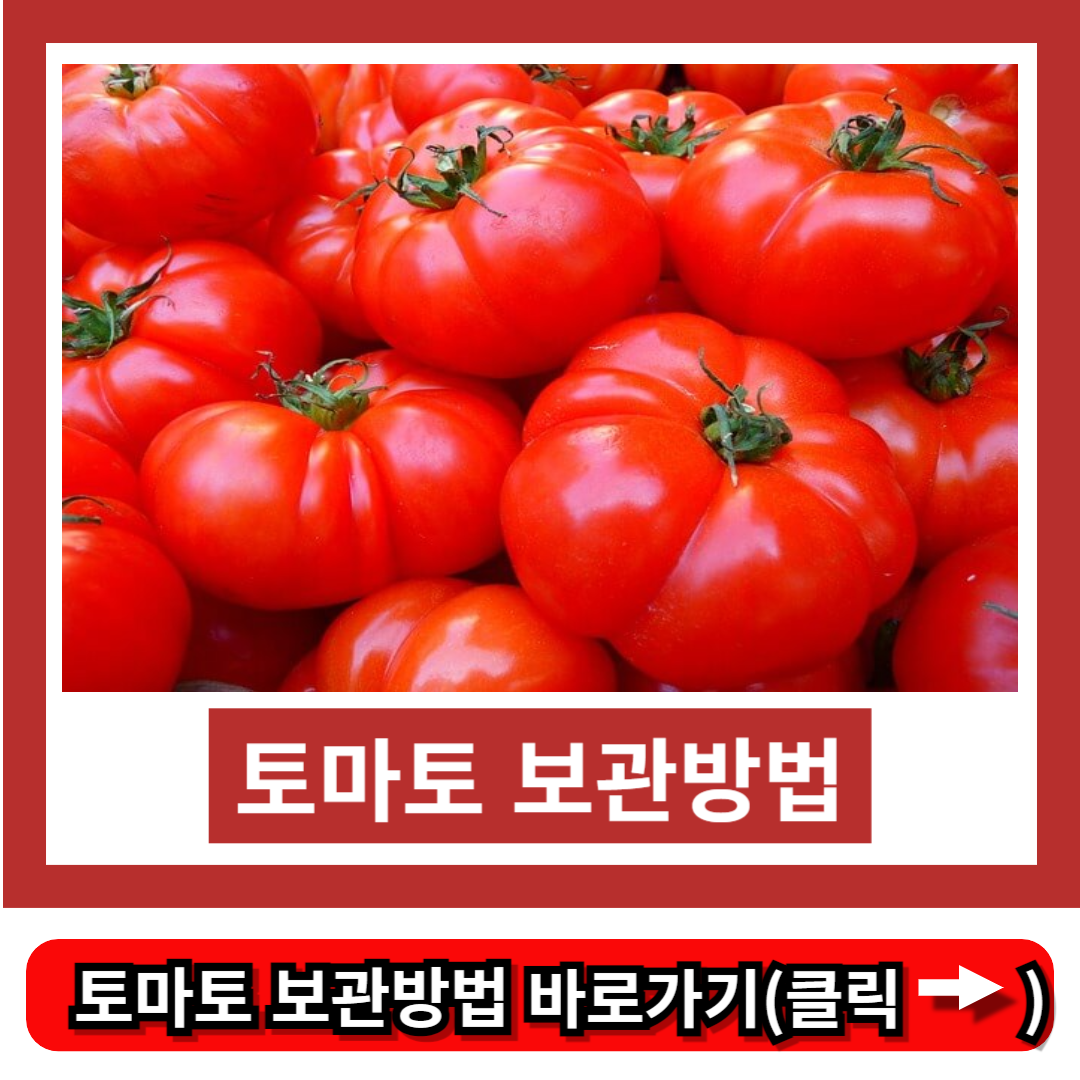 토마토 보관방법