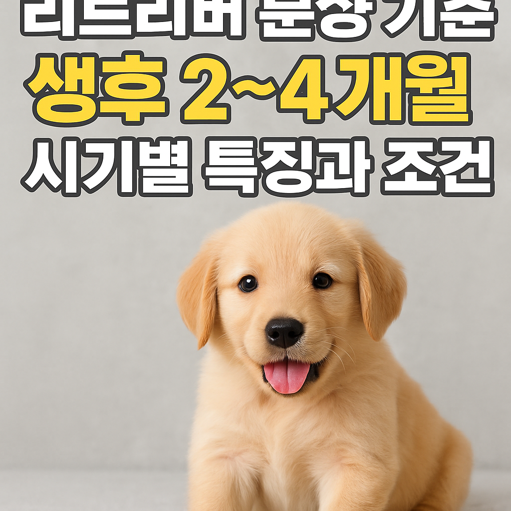 리트리버 분양 기준