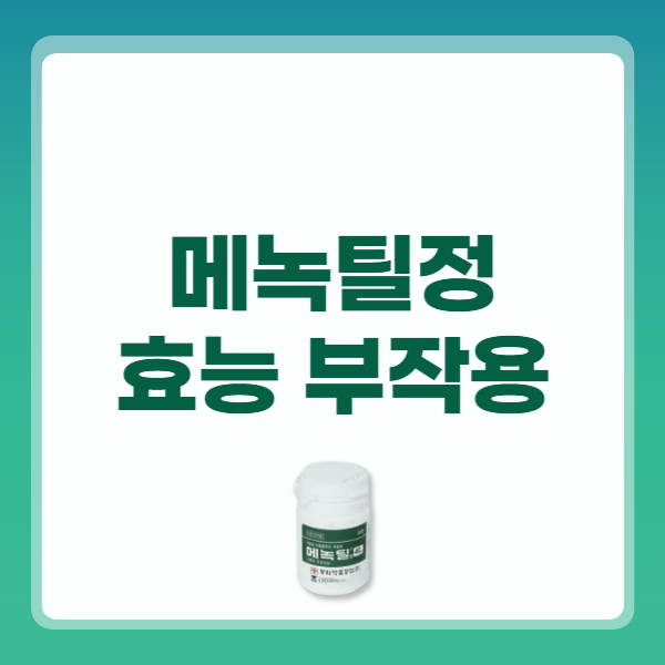 메녹틸정 40mg 효능 복용법 부작용
