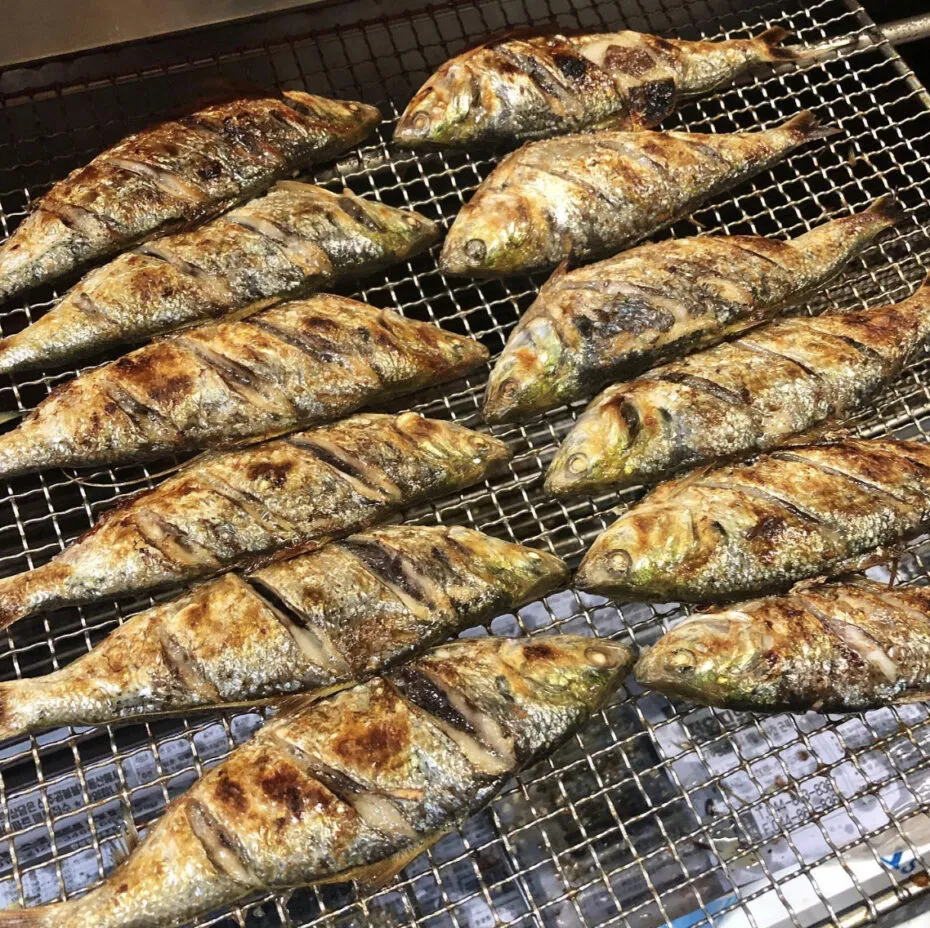 가을 전어 구이와 회