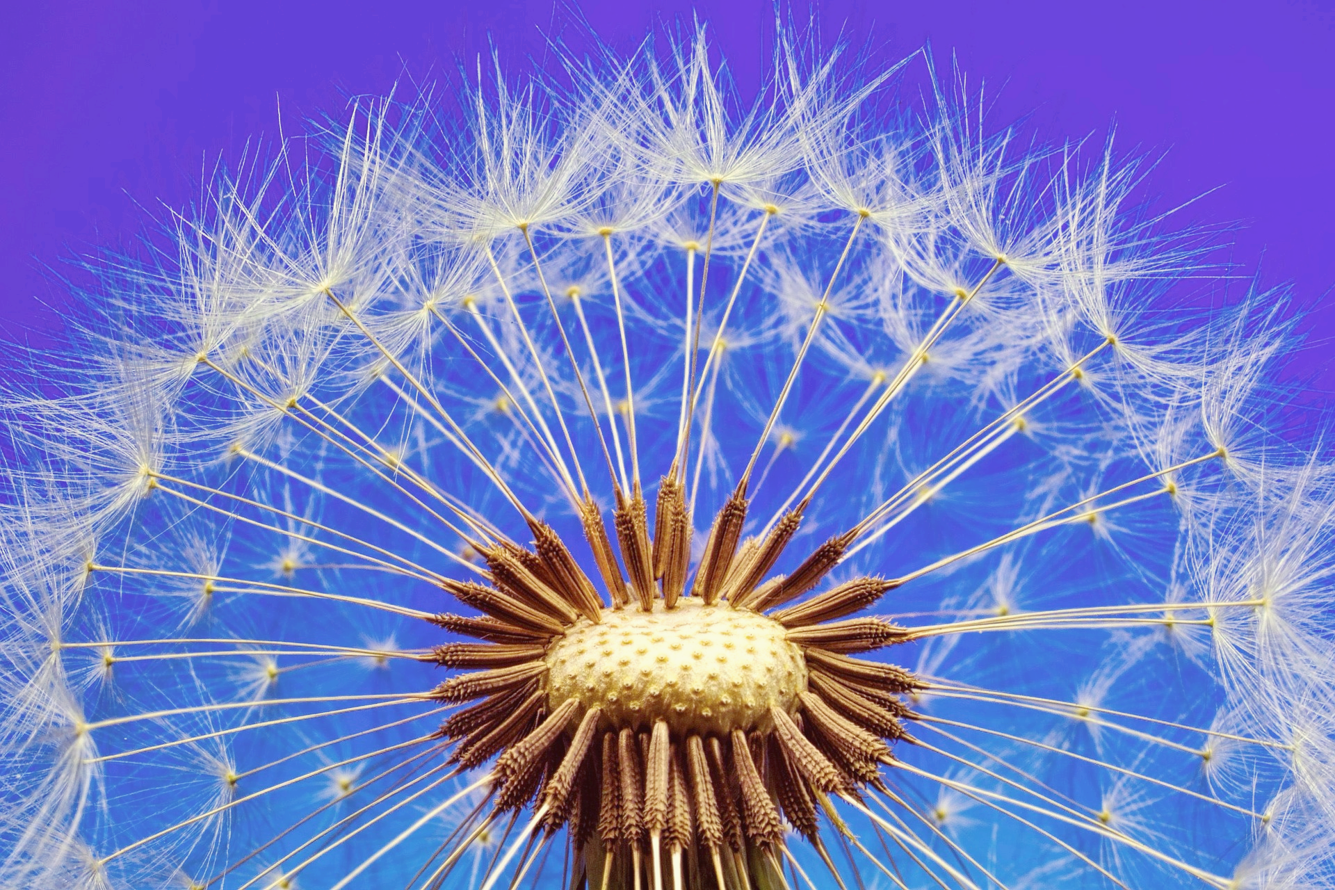 농협 주식계좌 개설방법