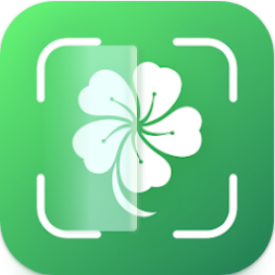 식물이름 찾기 어플(Plant Lens), 꽃 식별, 버섯 식별, 나무 식별하기