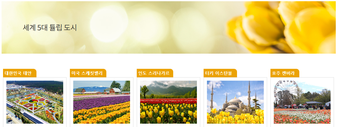 세계 5대 튤립 도시