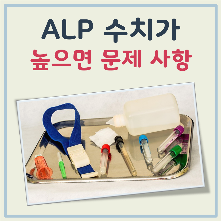 ALP수치가 높으면 대표 이미지