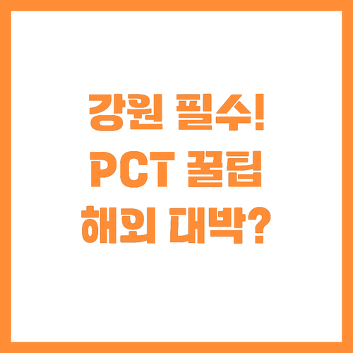 IP나래 특허를 PCT로 강원 기업 ..
