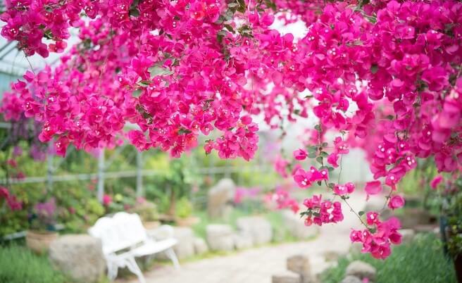 6월 제주도 가볼만한 곳