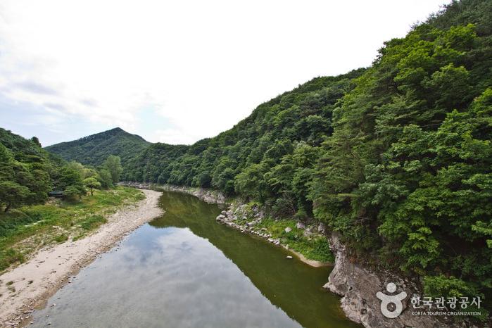 충주 가볼만한 곳