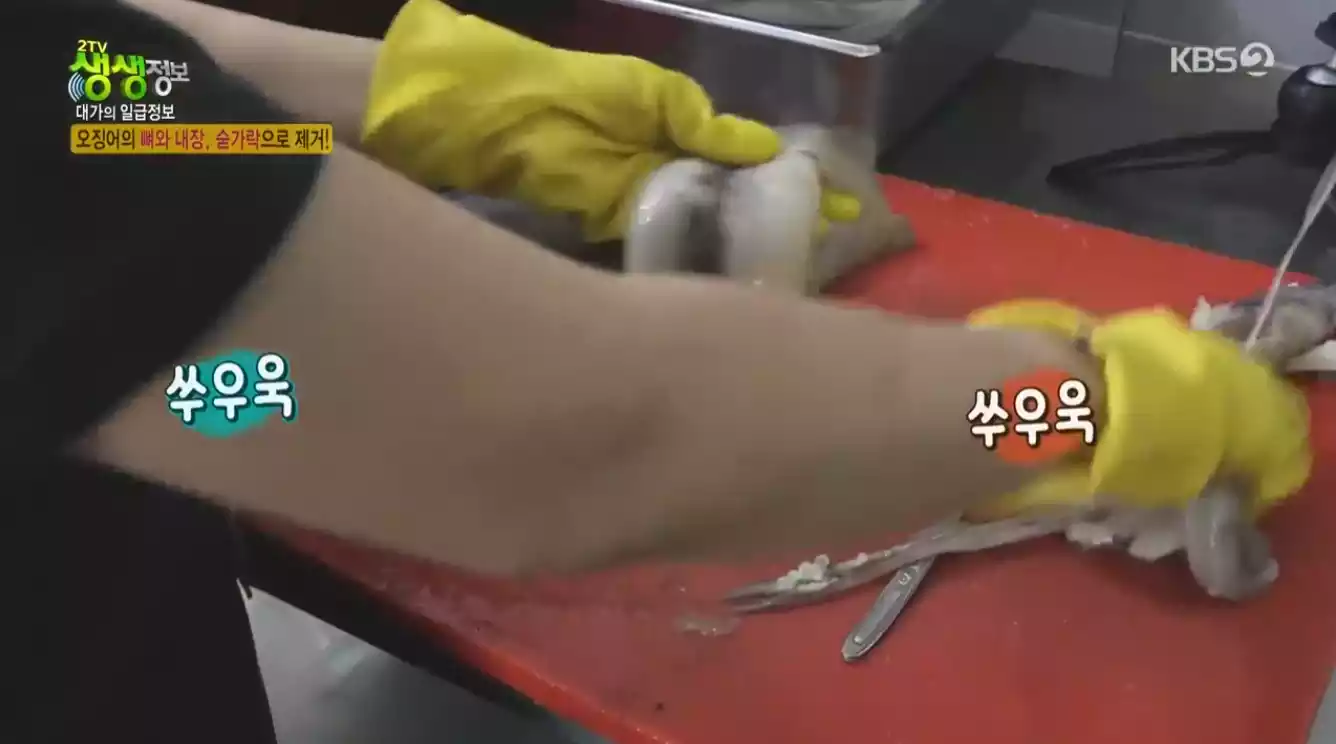 오징어 손질