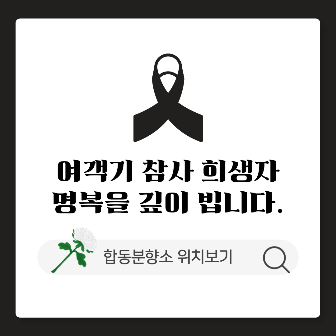 제주항공 사고 합동분향소 위치 조회하기 서울 대구 광주 대구 등 전국