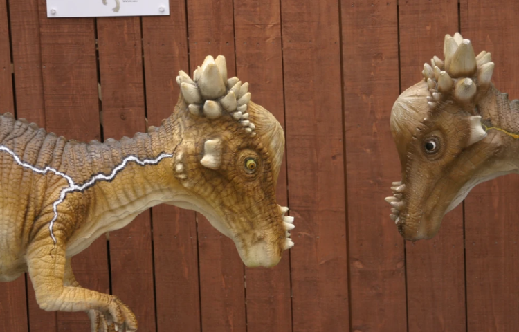 우석헌 자연사 박물관