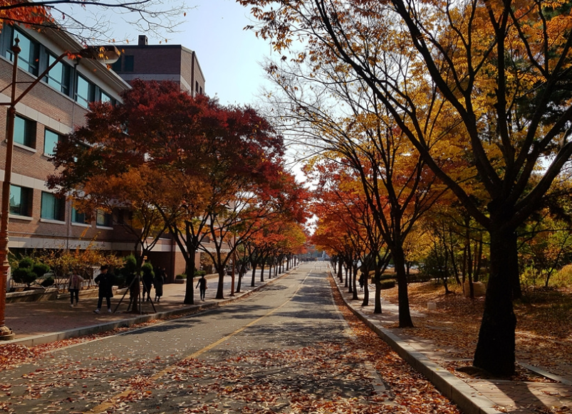 계명대학교 성서캠퍼스5