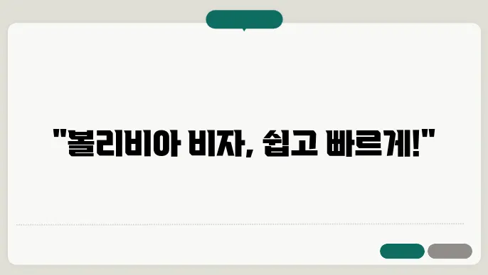 볼리비아 비자 온라인 신청