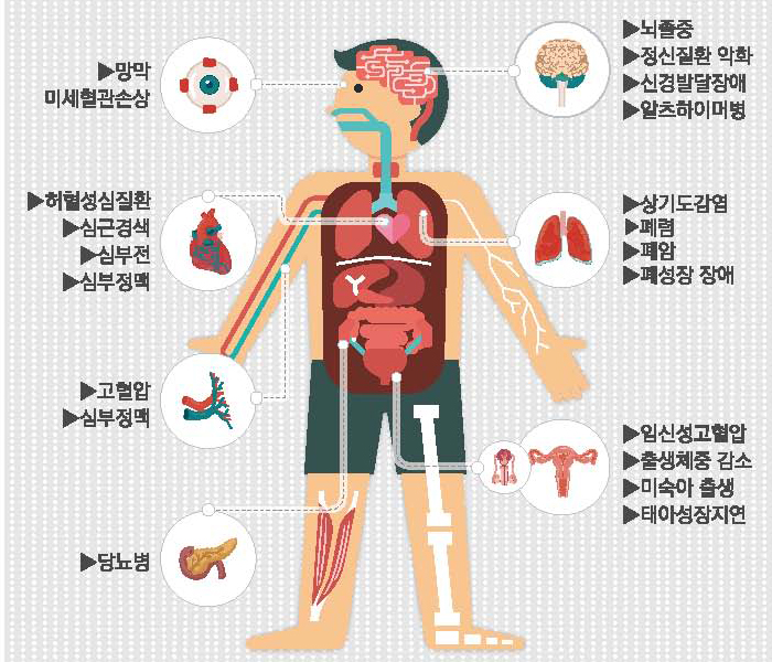 미세먼지가-인체에-미치는-영향