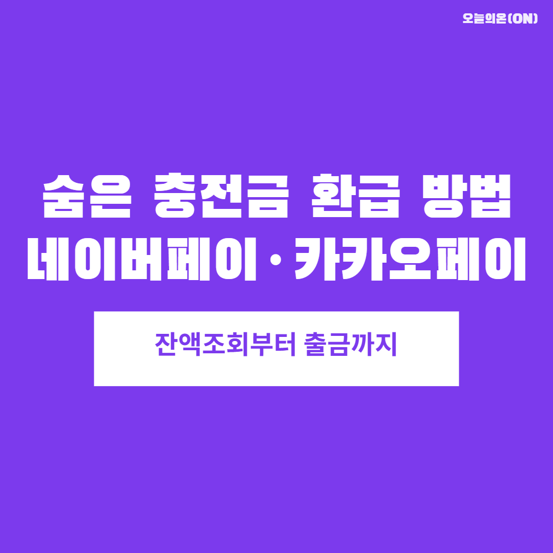 숨은충전금환급방법_네이버페이,카카오페이