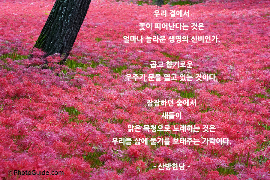 법정스님명언