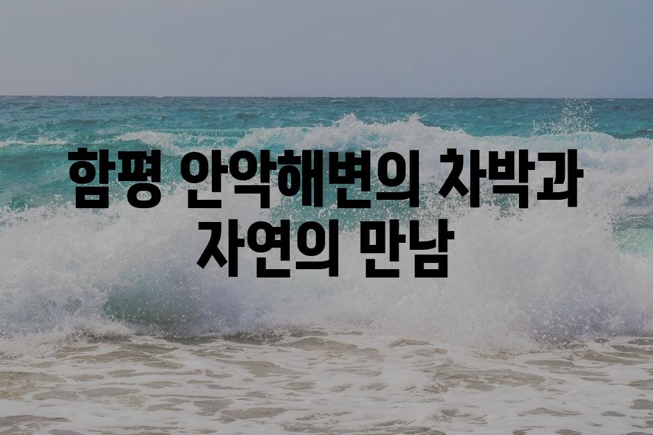 샘플 (89)