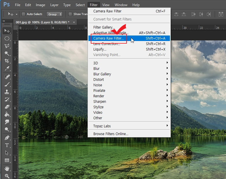 camera raw filter