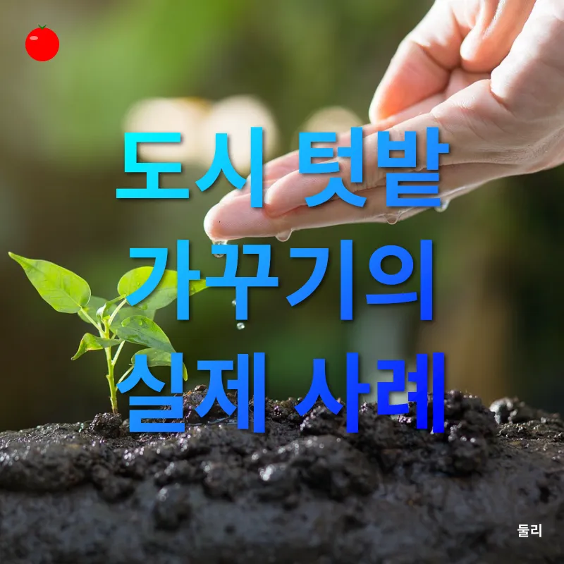 도시 텃밭 가꾸기_3
