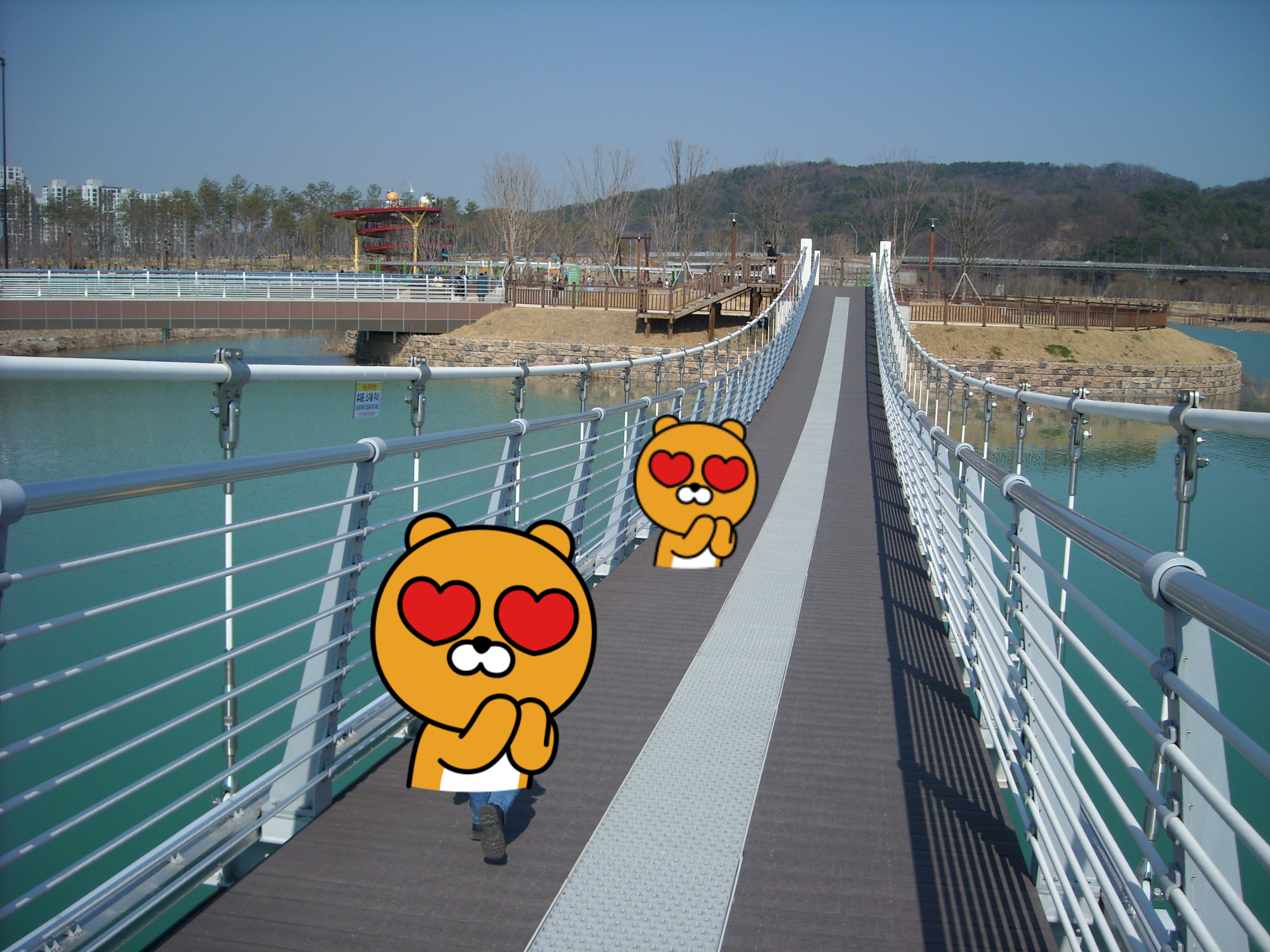 니콘 쿨픽스 s520 nikon coolpix 빈티지 디카 카메라 추천 13