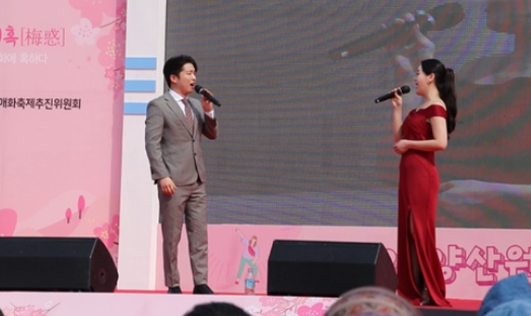 양산 원동 매화축제