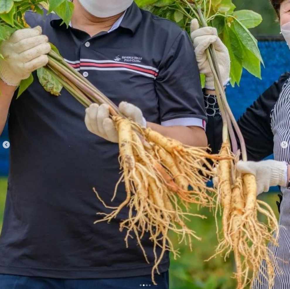 금산세계인삼축제