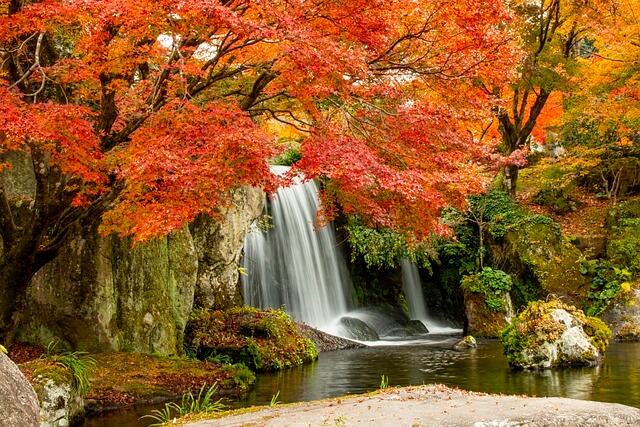 산림기사