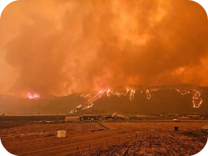 경북 안동 산불 재해 이미지