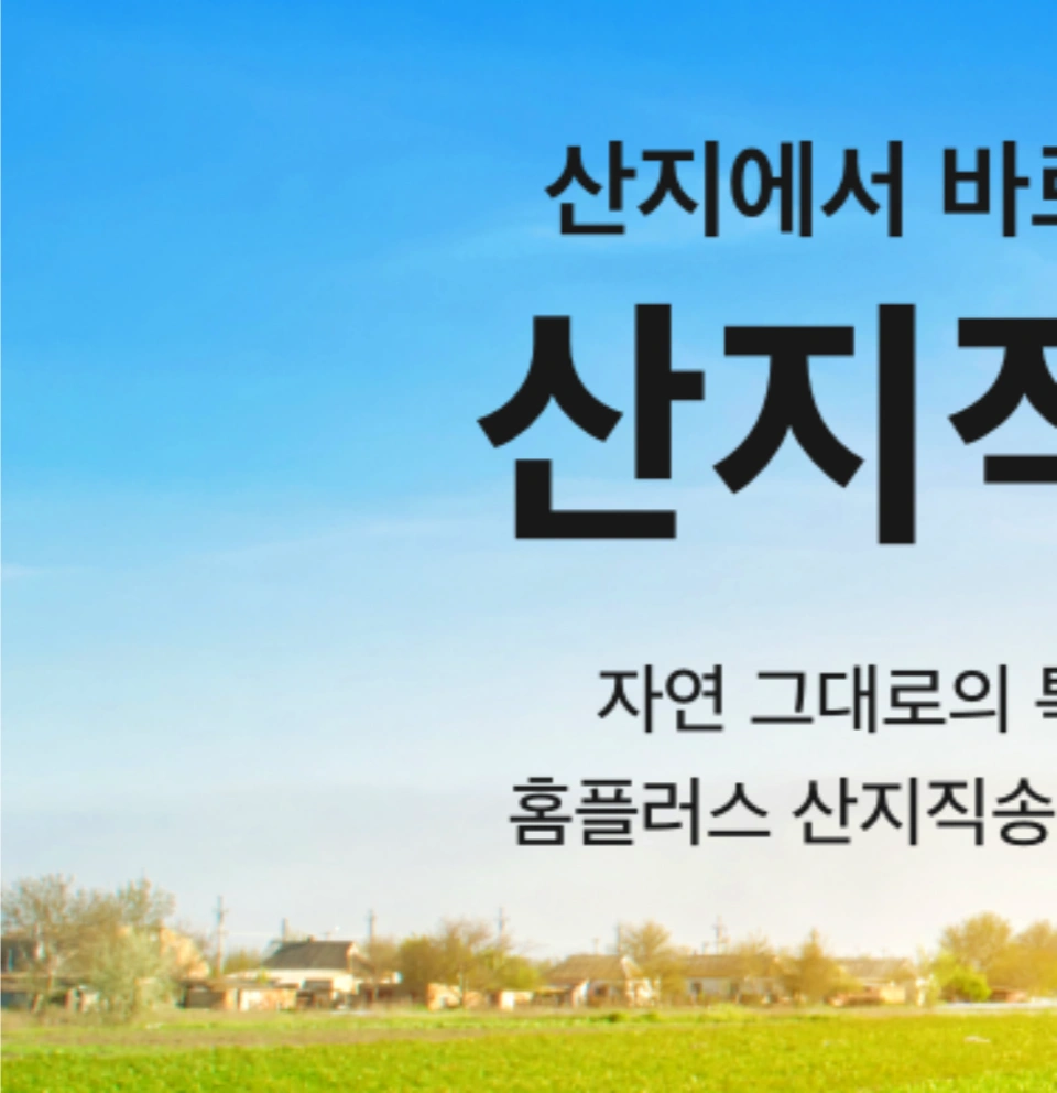 홈플러스-전단-행사-전단지