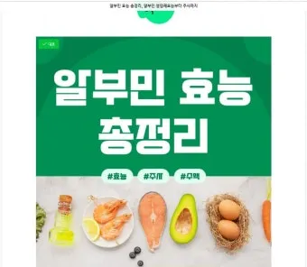 알부민 영양제 효능 알아보기 복용법 부작용_8