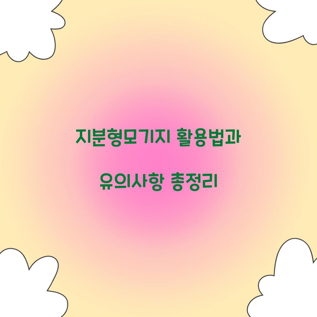 지분형모기지