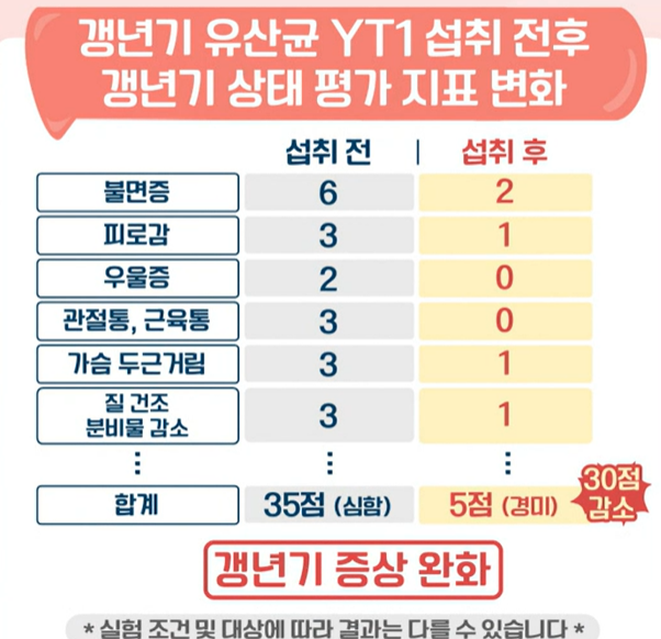 갱년기 유산균 YT1 효능