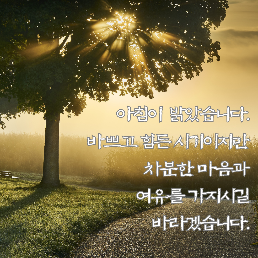 기분 좋은 아침 인사말 이미지 문구 모음집