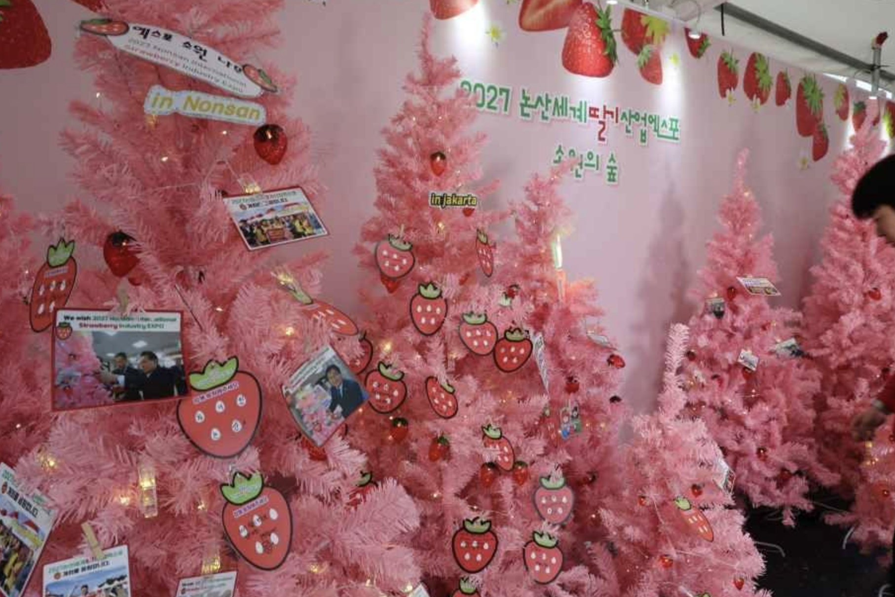 논산 딸기축제 일정 가수 장소 주차 정보 요약