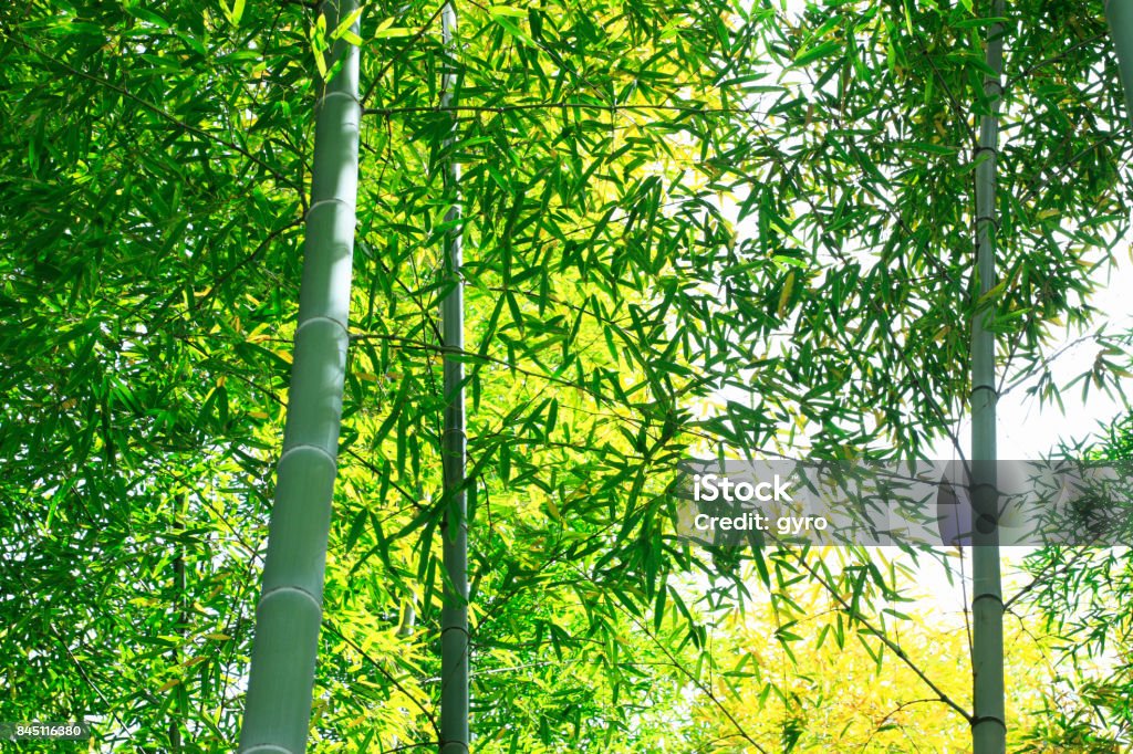 5월 국내 여행지