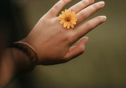 반지 호수 재는법