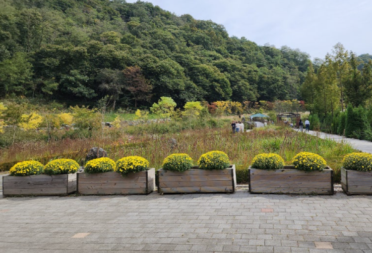 파주 율곡수목원