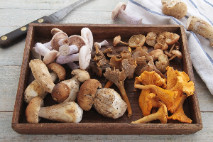 나무 트레이에 담긴 다양한 버섯