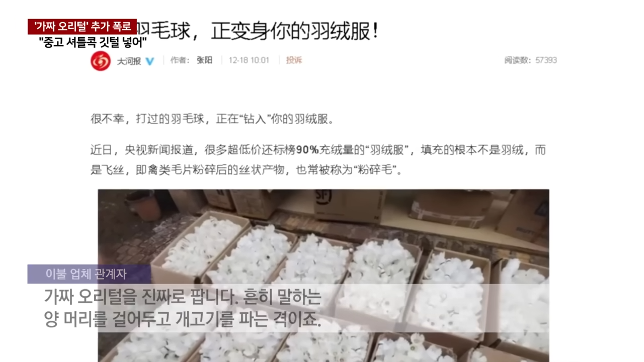 중국산 패딩 충격 진실 가짜 오리털 제조 영상 중고 셔틀콕