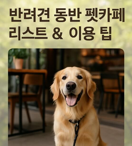 서울&middot;근교 강아지와 함께 갈 수 있는 펫카페 추천 &amp; 방문 꿀팁 총정리