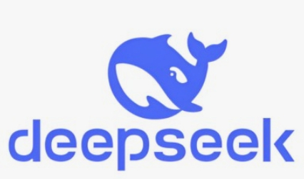 딥시크 회사 로고