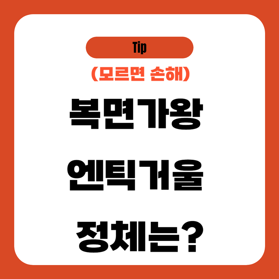 복면가왕 엔틱거울 정체는?