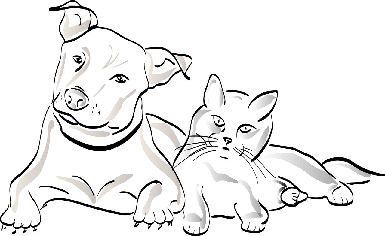 2025 서울시 광견병 예방접종