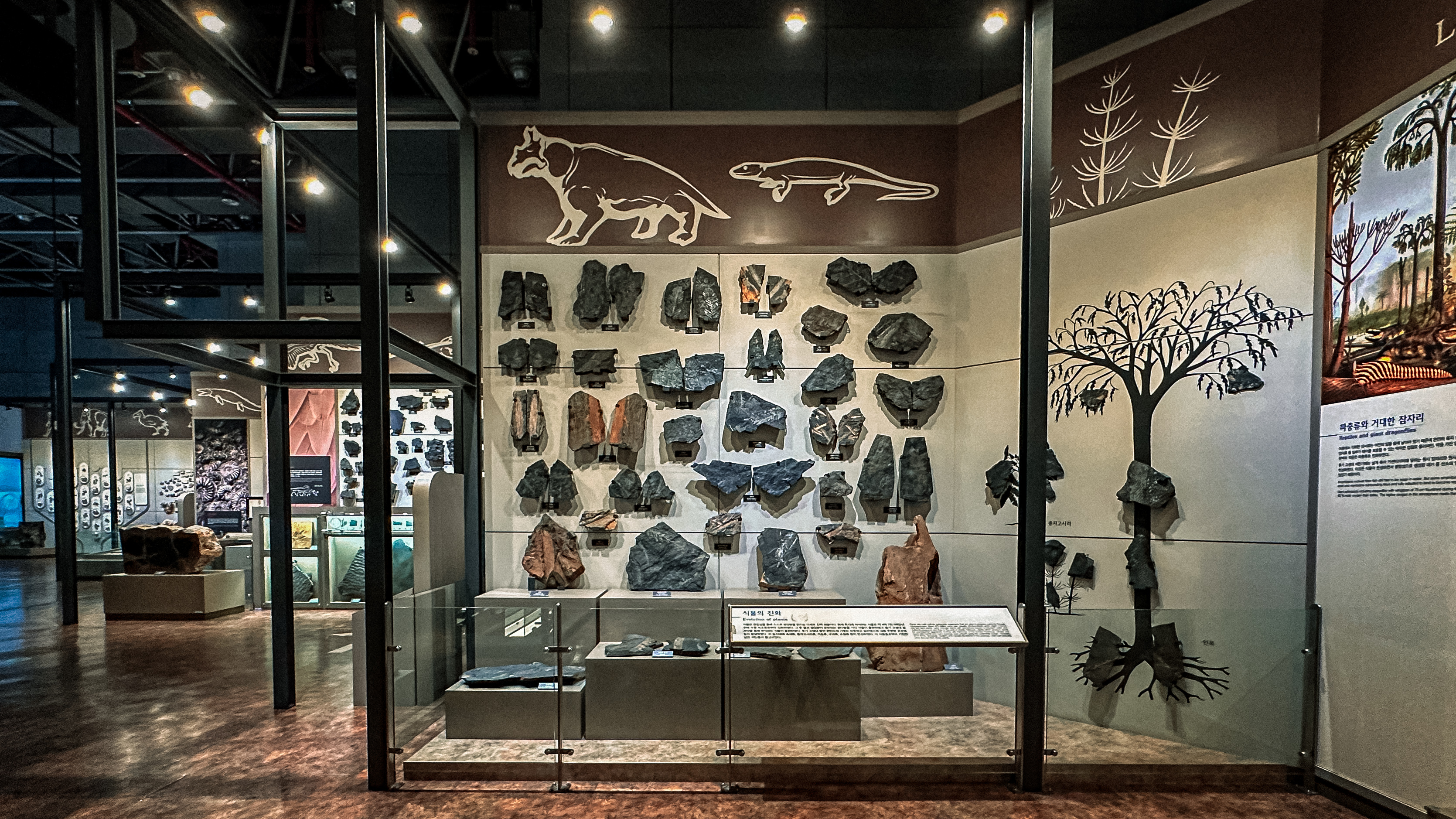 국립 중앙 과학관