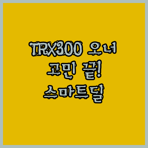 여러분 혼다 TRX300 오너세요..