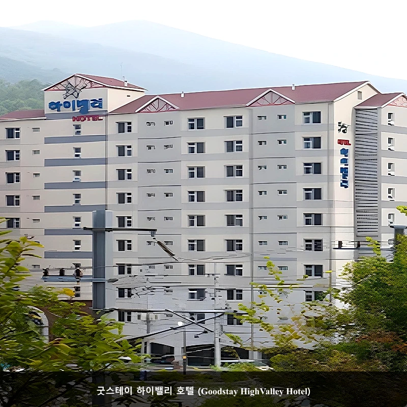 굿스테이 하이밸리 호텔 (Goodstay HighValley Hotel)_1