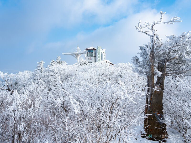 발왕산 [發旺山]