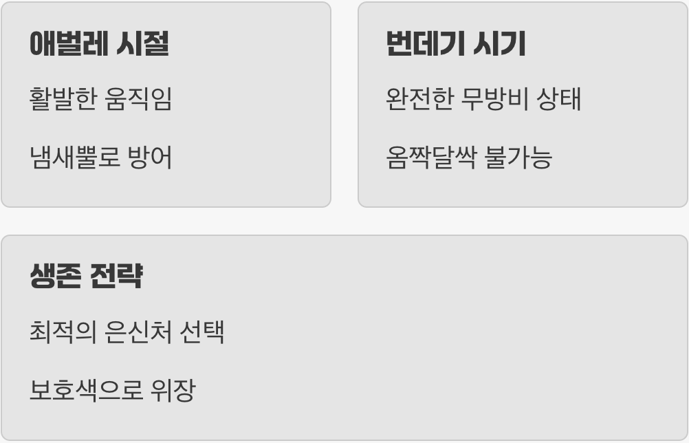 일생일대의 가장 위험한 시기